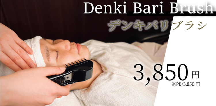 デンキバリブラシ