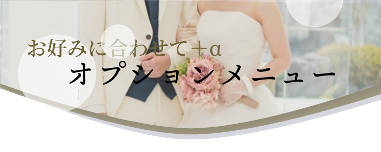 オプションメニュー