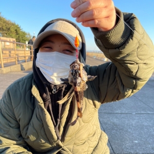 本多 りか　【2023.7から産休に入りました】