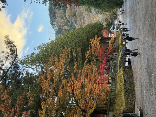 日帰り栃木旅行