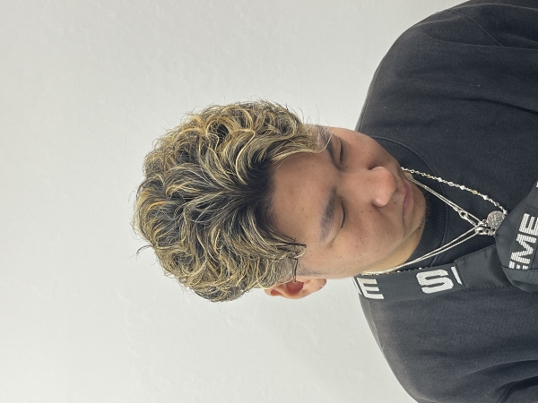 メッシュスタイル