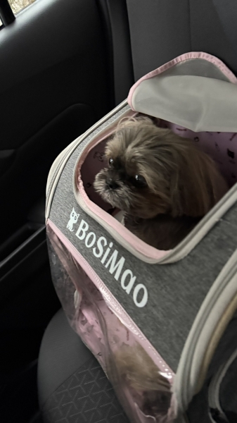 インフルエンザ予防