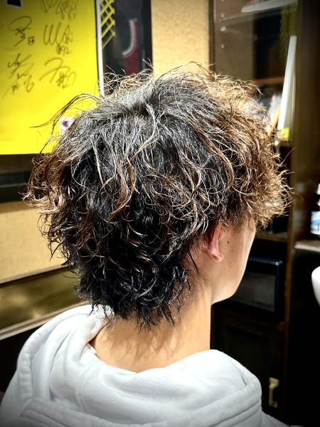 漢のこだわりウルフ