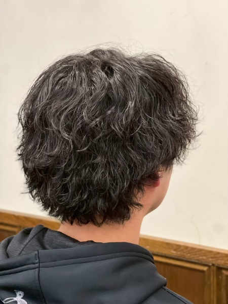 ミディアムウルフ