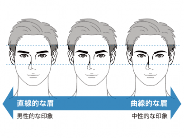 眉毛の黄金比
