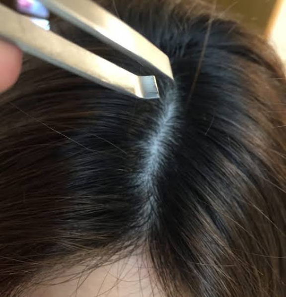 白髪は抜いちゃダメなんです ブログ Premium Barber 目黒 高級理容室 床屋 ヒロ銀座ヘアーサロン