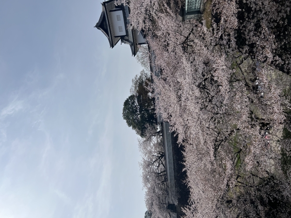 金沢