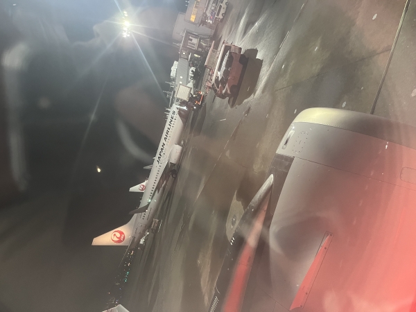 飛行機から見る飛行機がカッコ良すぎる