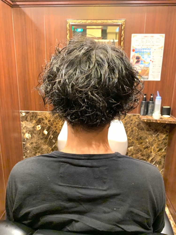 メンズスパイラルパーマスタイル ヘアカタログ 高級理容室 床屋 ヒロ銀座ヘアーサロン