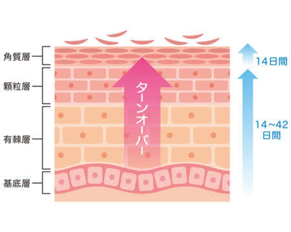 シェービングでターンオーバーの手助け