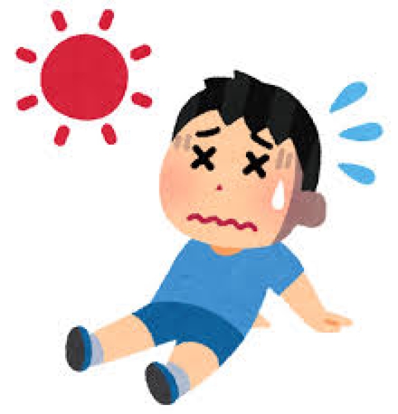 みなさん夏バテ大丈夫ですか！？