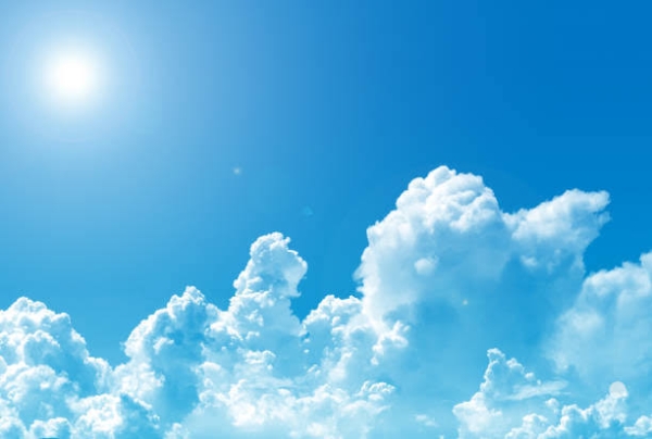 今年初の40℃超え！体調管理にご注意を