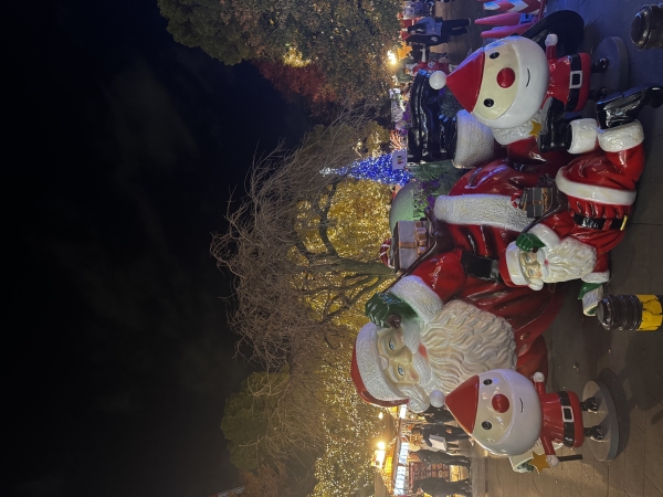 クリスマス先取りしてきました