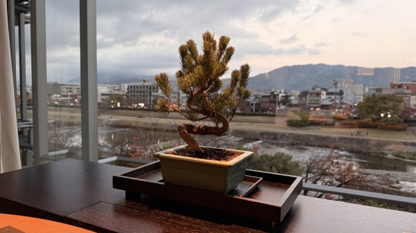 【京都旅日記】家族で過ごす、秋のリッツカールトン京都ステイ
