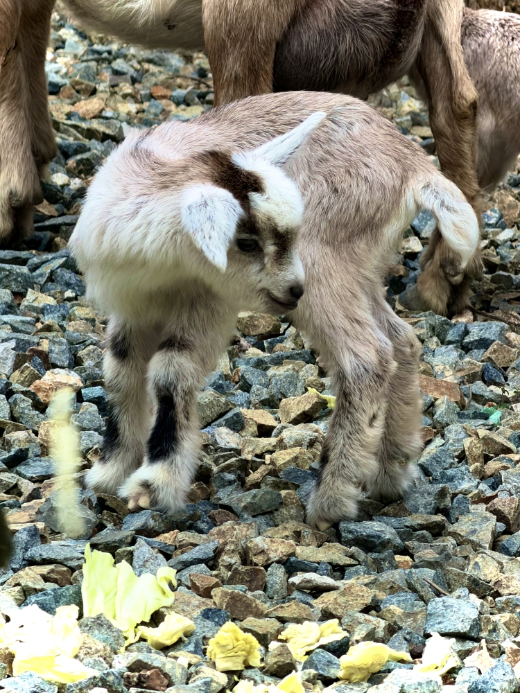 整えるって、こういうこと