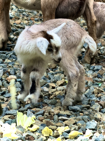 整えるって、こういうこと