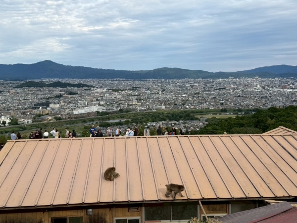 日帰り京都社員旅行