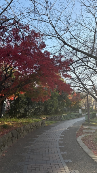 小学生がグリコしてたよ‼️