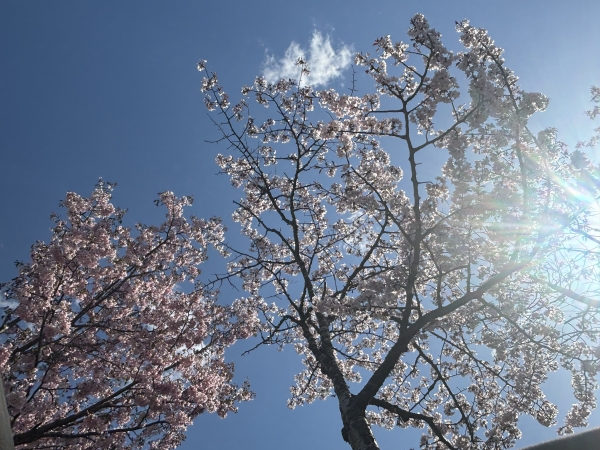 距離感という、見えない境界線