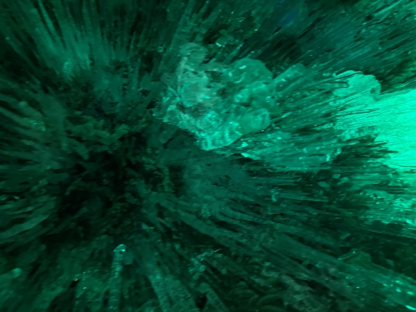 自分の脳みそ、ちょっと面倒くさい