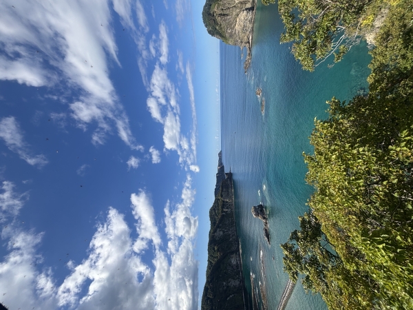 正解は、選んだあとにできるもの