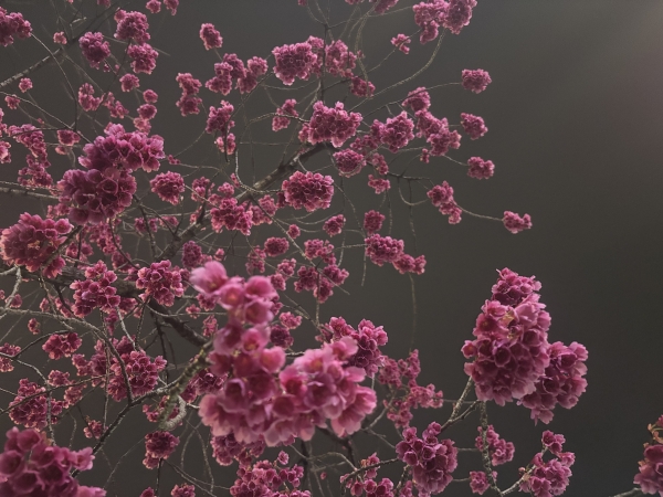 他者の目の中で、私たちはどこまで自分でいられるのか