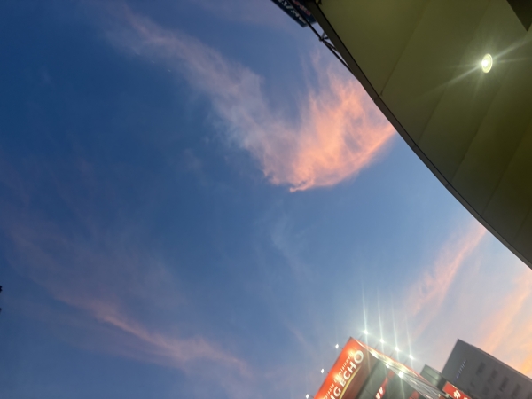 ありのまま」と「演じる自分」のあいだで