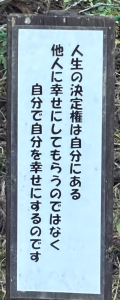 前を向く人、立ち止まる私