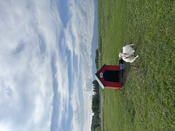 誰よりも幸せになりたい理由