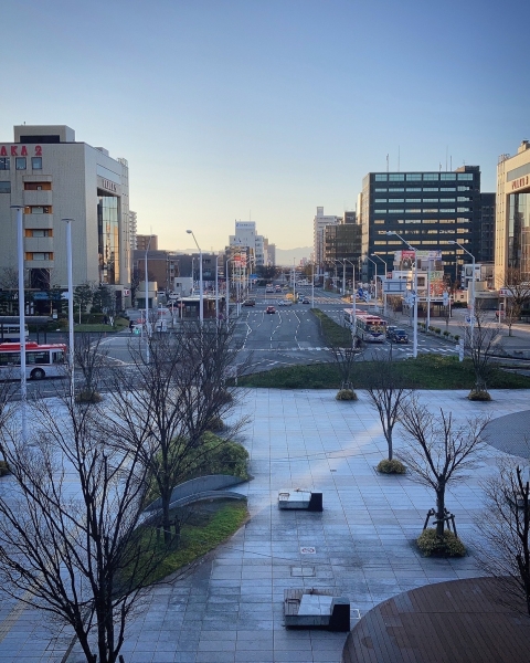 帰省