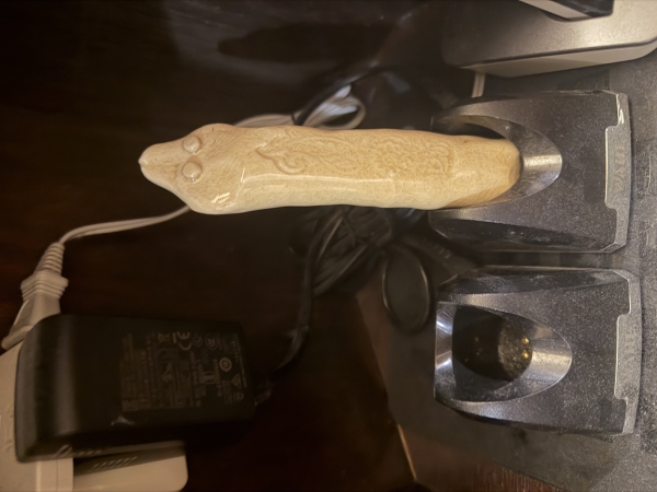 プラナリアDOPE大宮