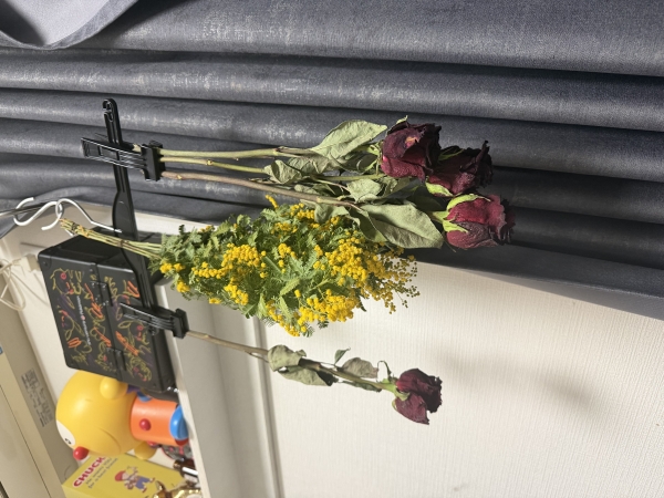 ドライフラワーァン