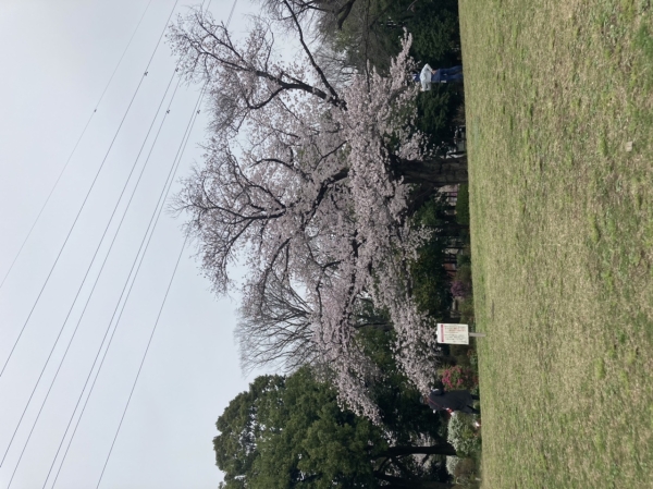 花粉症&マスクによる肌荒れ対策