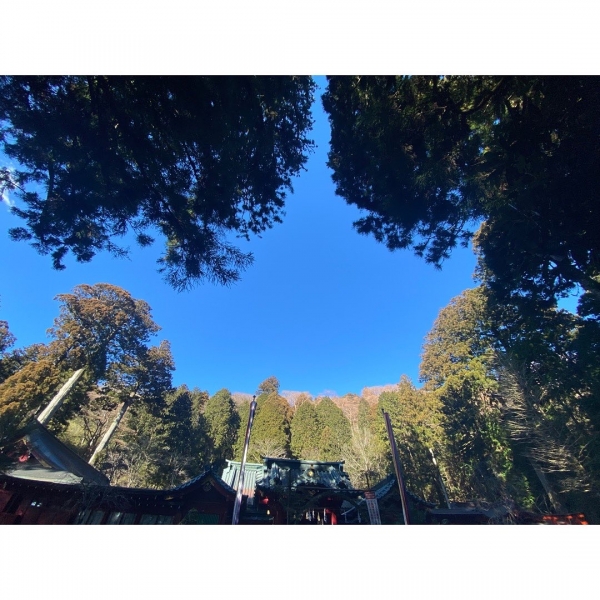 今年もよろしくお願い致します！