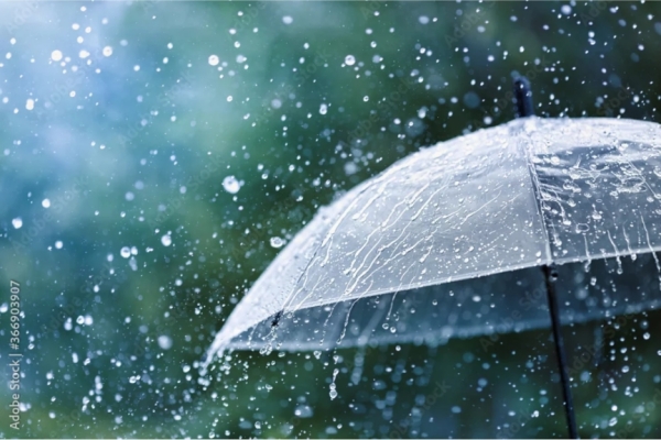 雨の日こそ！オススメ