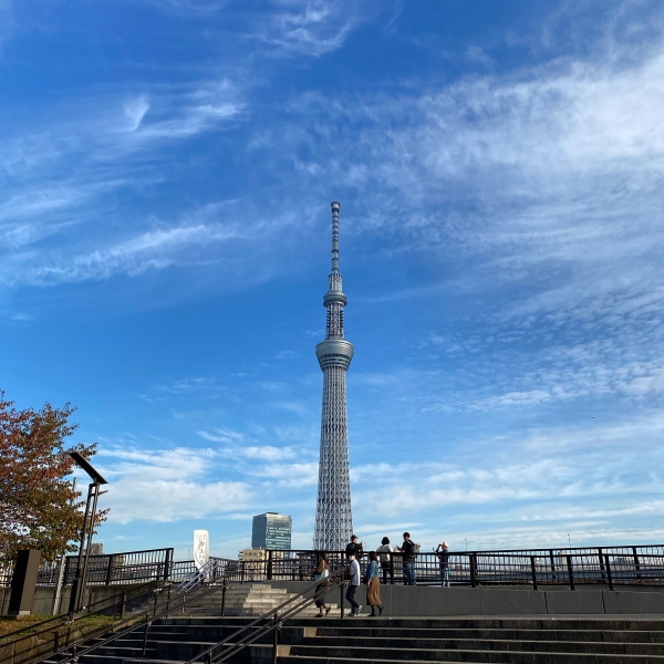 今年の冬はメッシュでお洒落になりましょう！