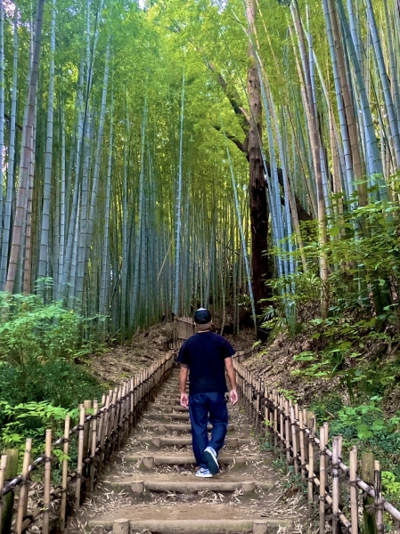 ひよどり坂