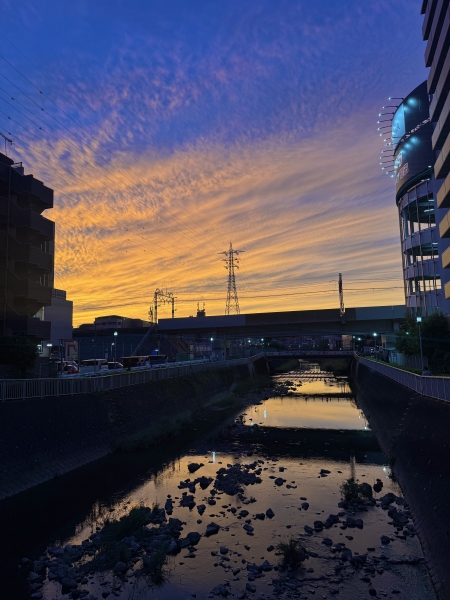 何気ない景色