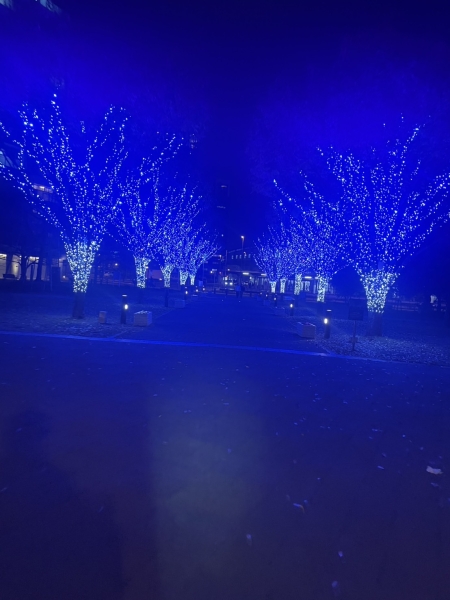 お家の近くでも