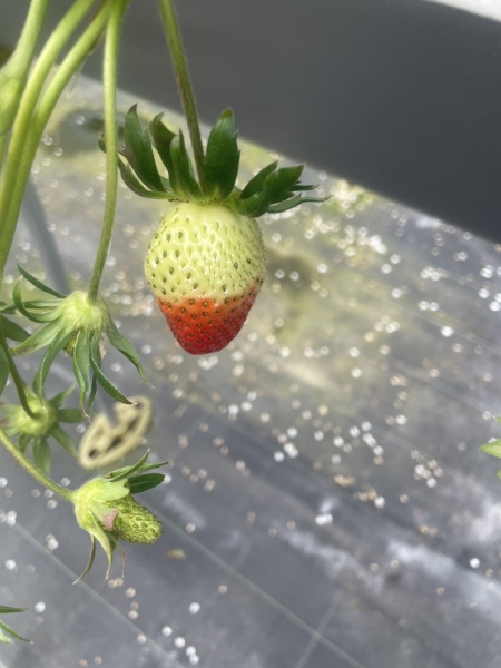 飯塚の休日シリーズ