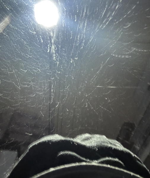 東京でも…！！！