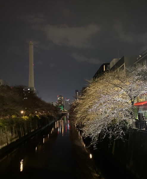 新年度開幕！