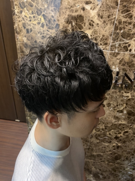 癖を活かす ヘアカタログ 高級理容室 床屋 ヒロ銀座ヘアーサロン