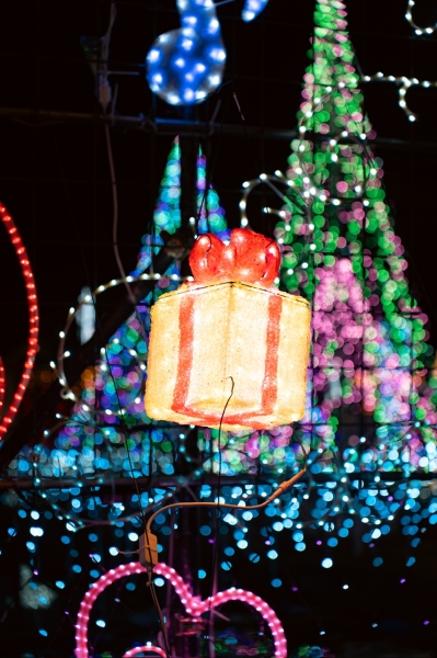 イルミネーション！