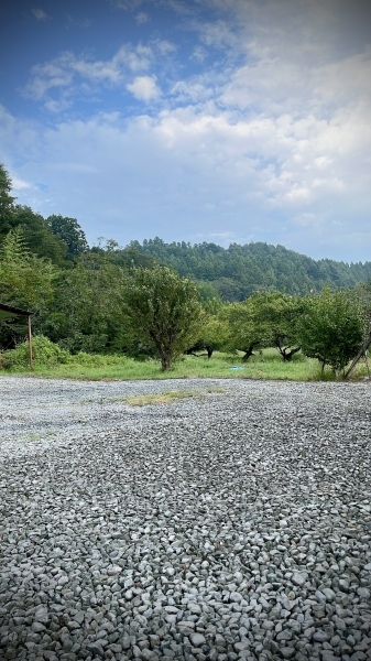 田舎へ帰省