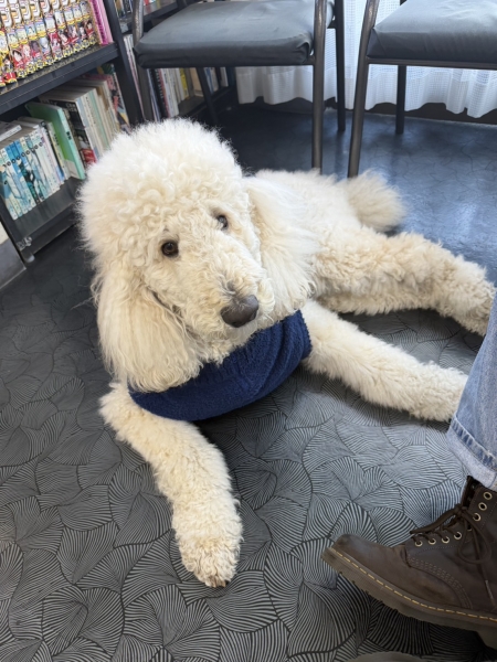 今年もよろしくお願い致します