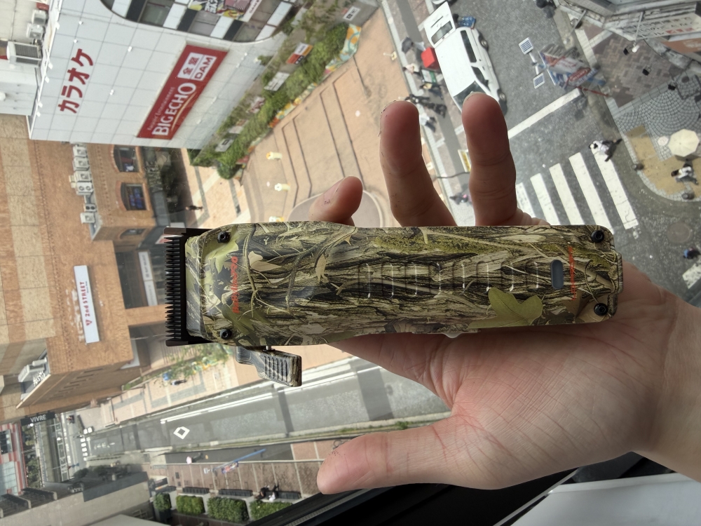 新しい相棒