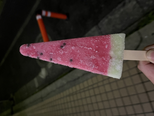 夏が来た！