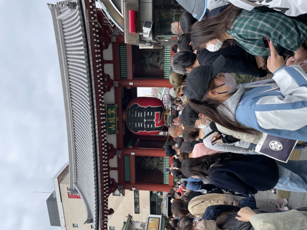たぶんレア