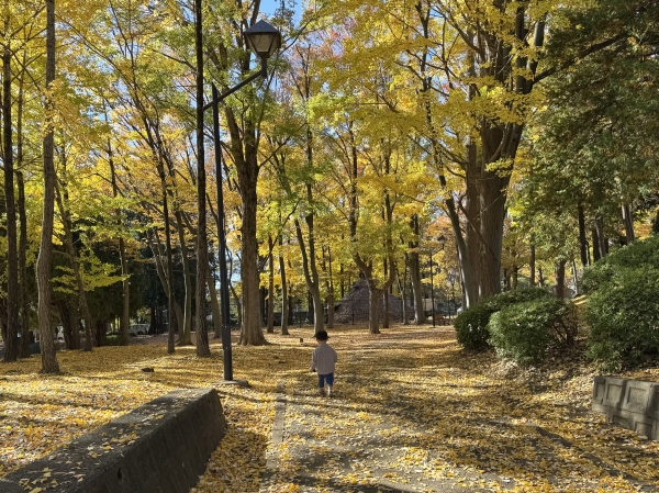 【休日のおでかけ♪】🍁